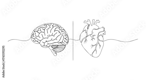 A single continuous line illustration of a human brain and heart intertwined, symbolizing the connection between thought and emotion