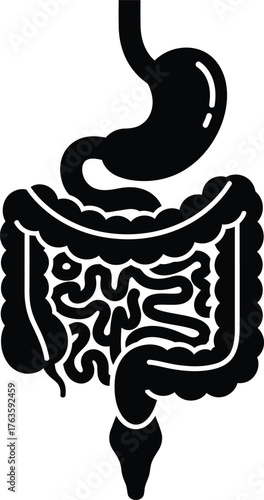 Human Digestive System Stomach and Intestines Glyph Icon Vector Illustration