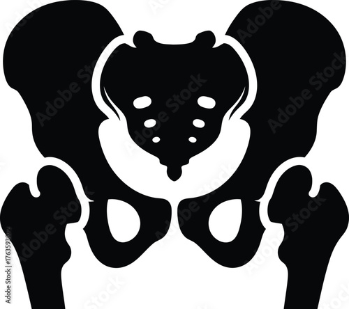 Human Pelvis Hip Bone Structure Anatomy Silhouette Icon Vector
