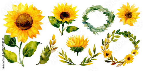 Watercolor illustration of cheerful sunflowers and leafy green wreaths for summer and autumn designs
