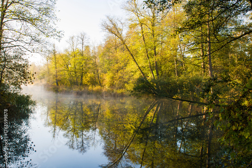 Fototapeta Naklejka Na Ścianę i Meble -  Mglisty poranek jesienią 2025