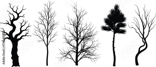 Five leafless tree silhouettes, black vector illustration, twisted trunks and bare branches, isolated nature design, artistic tree shape collection
