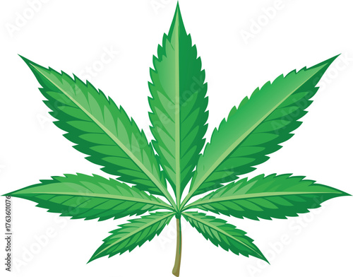 Marijuana leaf vector illustration | Cannabis plant graphic