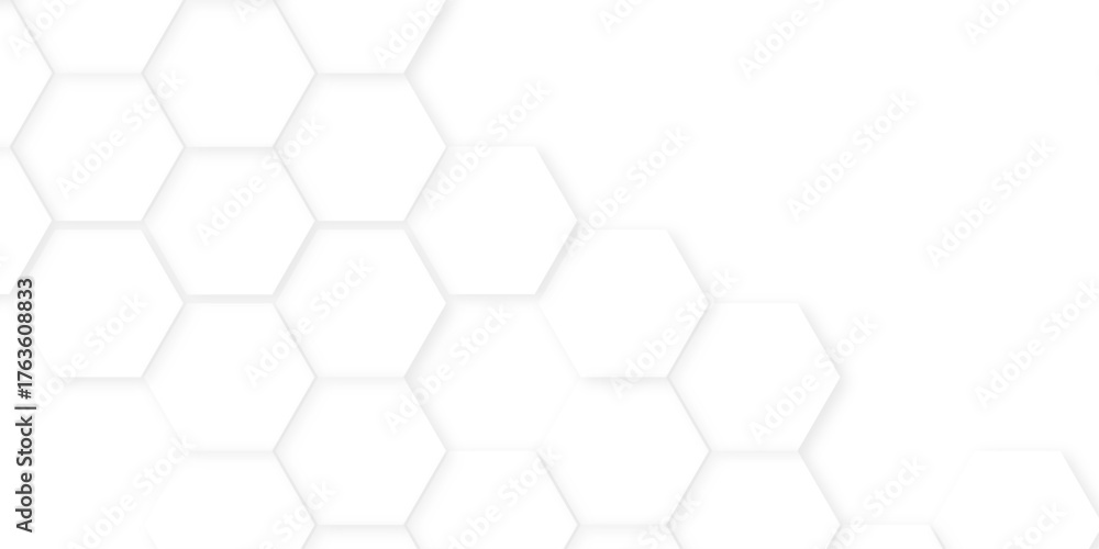 Fototapeta premium Abstract background with hexagon, modern abstract vector polygonal pattern. Abstract white and grey color hexagonal geometric background with copy space, Abstract white hexagon concept background,