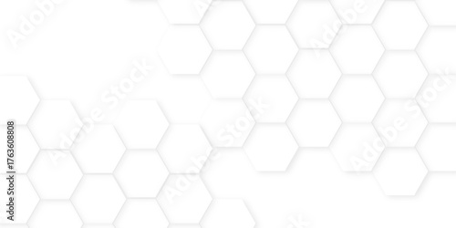 Abstract background with hexagon, modern abstract vector polygonal pattern. Abstract white and grey color hexagonal geometric background with copy space, Abstract white hexagon concept background,