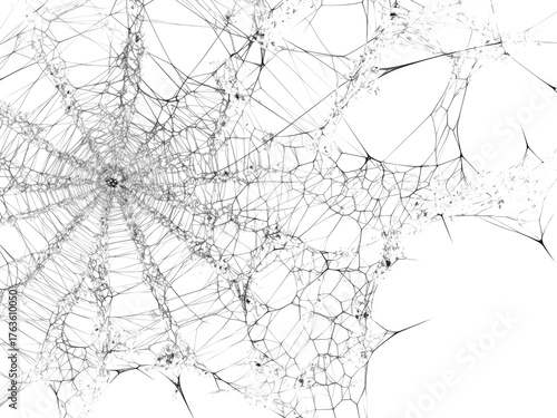 spider net vector illustration, PNG Stock royalty free. transparent background