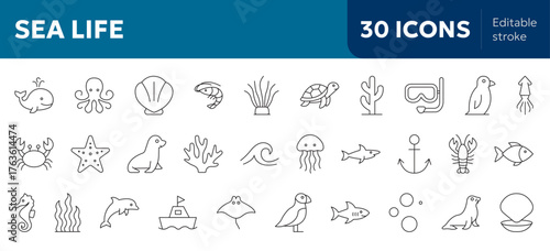 set of  sea life icons in line art with ocean aquatic animals and nature 