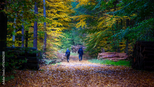 People walking and riding bikes in the autumn forest.