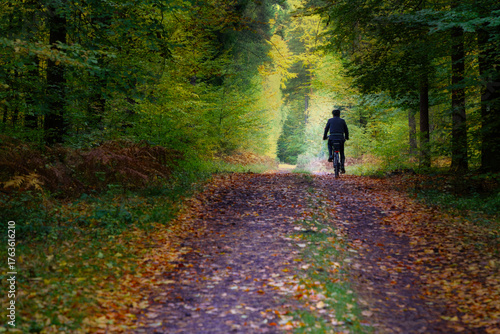 People walking and riding bikes in the autumn forest.