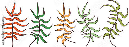 Set of five hand-drawn fern fronds in orange, green, yellow-orange, light green, and olive with flowing elegant leaflets