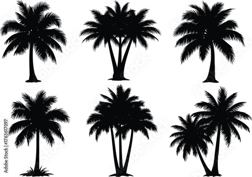 Six palm tree silhouettes, tropical nature vector, black frond shapes, isolated design, summer landscape art, exotic tree illustration