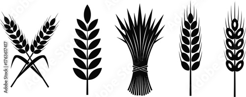 Various black wheat stalks and sheaves on a white background design