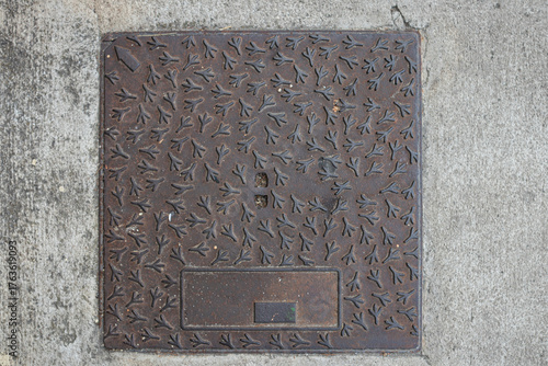 Decorative manhole cover with bird footprints on urban sidewalk in Piran