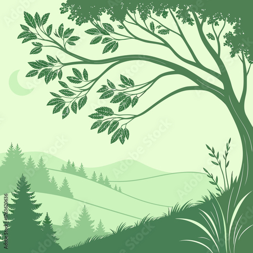Green tree branches arch over rolling hills and forest