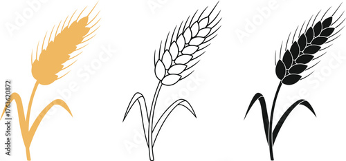 Three wheat illustrations in different styles on a white background