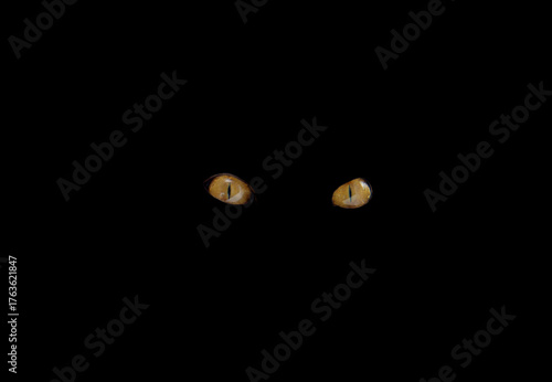 Wallpaper Mural Сat's eyes glowing in the dark. Torontodigital.ca