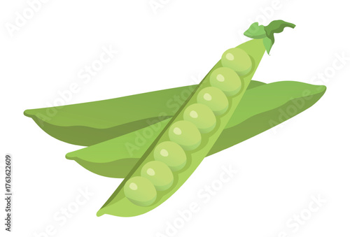 Realistic fresh ripe pea pod isolated on white background - Vector illustration