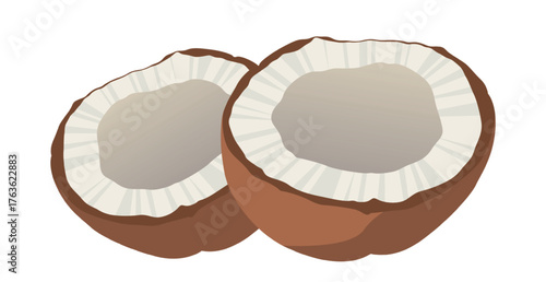 Realistic fresh coconut and coconut milk white background - Vector illustration