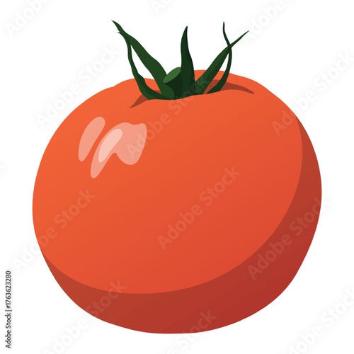 Realistic fresh ripe tomato against white background - Vector illustration