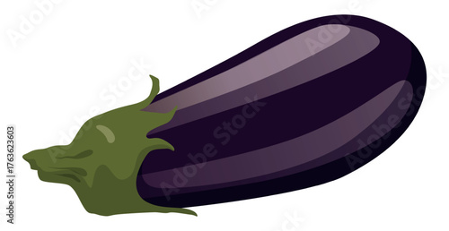 Realistic fresh eggplant isolated on white background - Vector illustration
