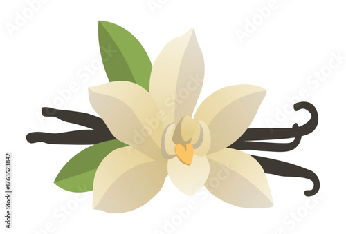 Realistic fresh vanilla leaves on white background - Vector illustration