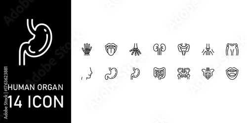 Collection of 14 human organ icons in outline style
