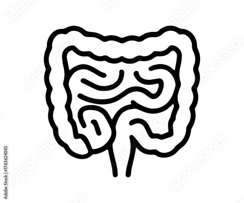 Stylized outline illustration of human intestines and colon