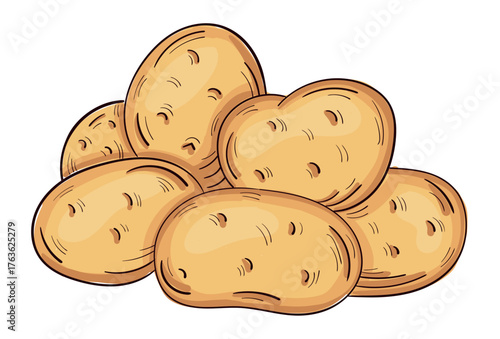 Realistic ripe fresh potato white background - Vector illustration