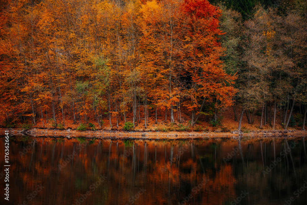 Obraz premium Bäume am See in bunten Herbstfarben