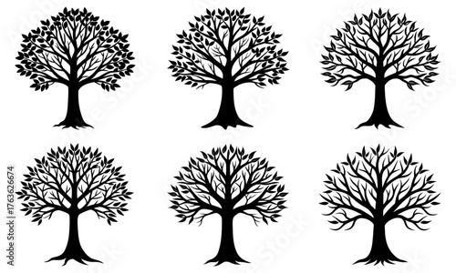 Elegant tree silhouettes for nature-inspired designs, perfect for logos, branding, and artistic projects needing a touch of organic beauty and timeless appeal