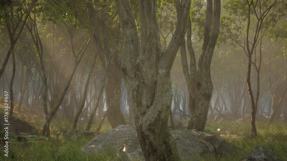 Fototapeta premium Sunlight filters through a dense forest, illuminating the mist that hangs low among trees. Rocks peeking through the foliage add texture to this tranquil woodland scene.