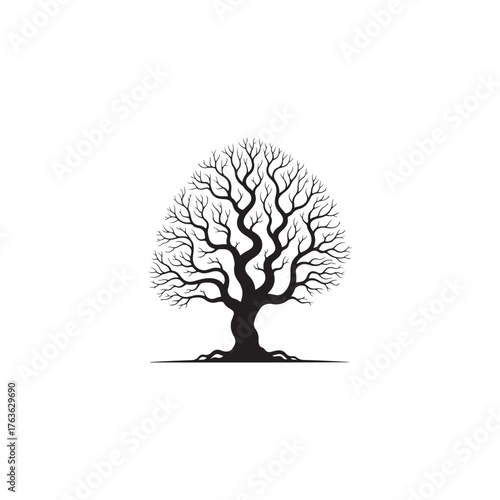 Dove carrying an olive branch in its beak