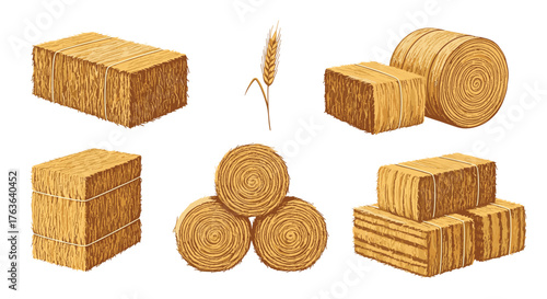 Hay bales and wheat spike agricultural harvest concept.