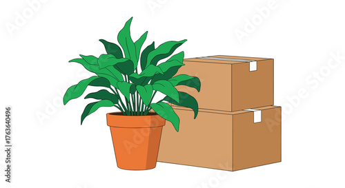 Plant in Pot and Cardboard Boxes for Moving.