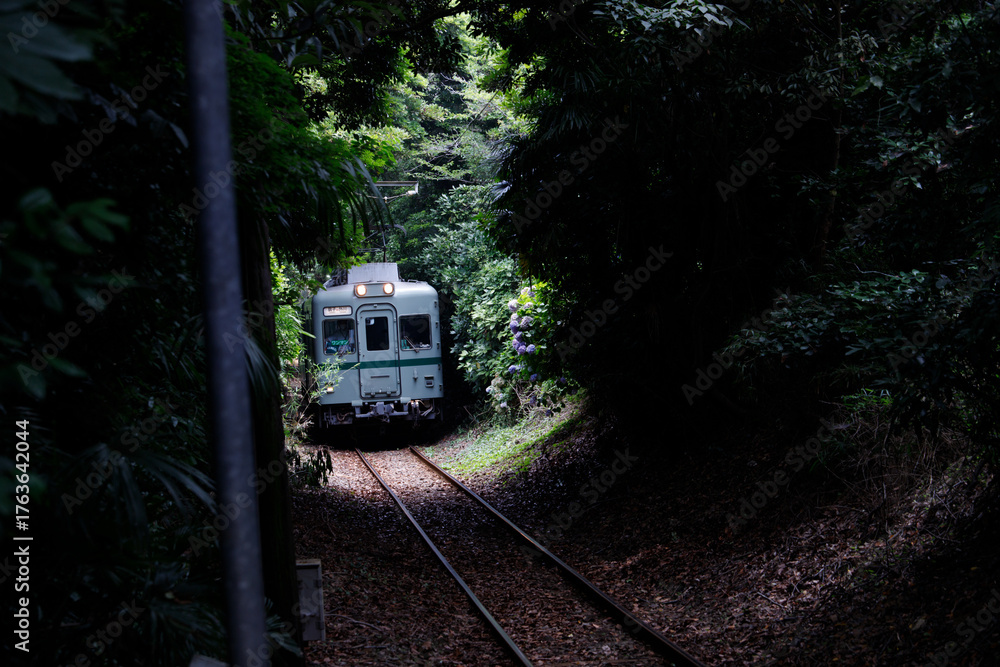 Naklejka premium Local Train Passing Through Forest Tunnel in Motochoshi, Chiba, Japan