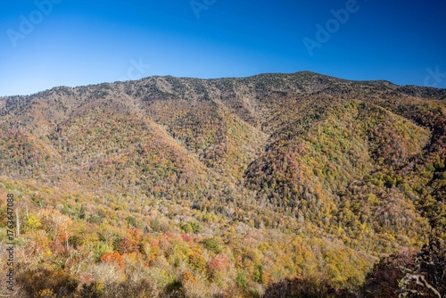 great smoky mountain national park