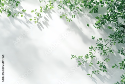 Fresh Green Leaves Casting Shadows on a Light Background for Design Use