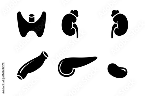 Collection of black silhouette medical illustrations depicting various human organs including kidneys, liver, and gallbladder