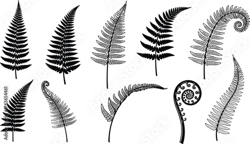 Fern leaf silhouettes collection, botanical foliage icons, tropical plant leaves set, nature greenery symbols, decorative flora artwork, cad drawing flat vector illustration
