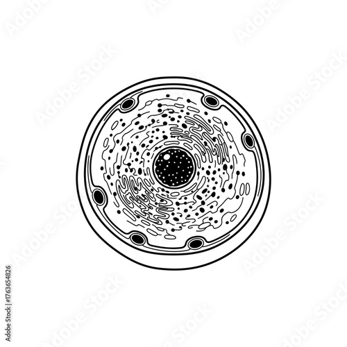 Detailed illustration of a cell structure showcasing its internal components and organization