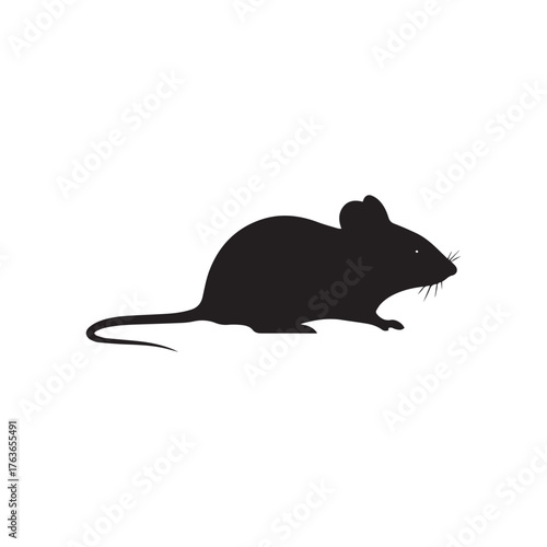 Cute mouse with cheese isolated on white background vector illustration