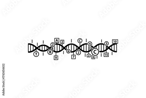 DNA structure illustration showing nucleotide sequences and genetic coding information