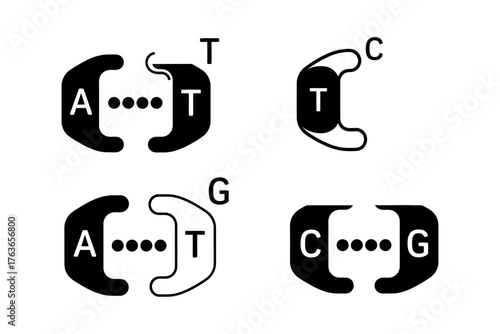 Graphic representation of DNA base pairs showcasing molecular structures and connections