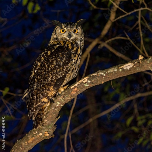 A majestic owl with piercing eyes perched on a tree branch at dusk