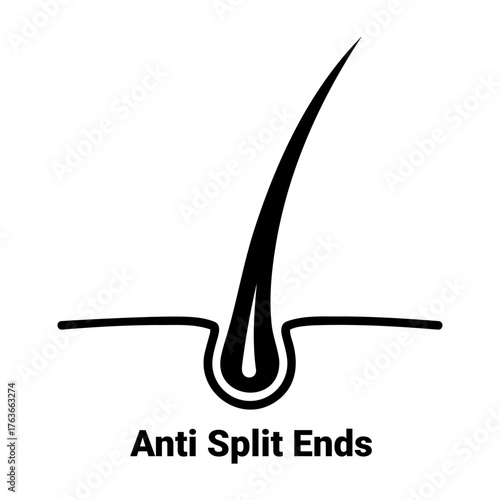 Vector illustration of a single hair follicle with the words anti split ends underneath it