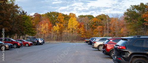 Autumn Colours in the Park Parking Lot