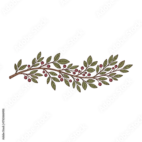 horizontal page divider with a decorative branch of leaves and berries