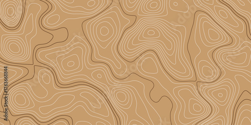 Abstract background with lines, abstract seamless pattern with linear stylized salmon fish fillet texture. topographic wavy pattern design. 