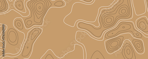 Abstract background with lines, abstract seamless pattern with linear stylized salmon fish fillet texture. topographic wavy pattern design. 