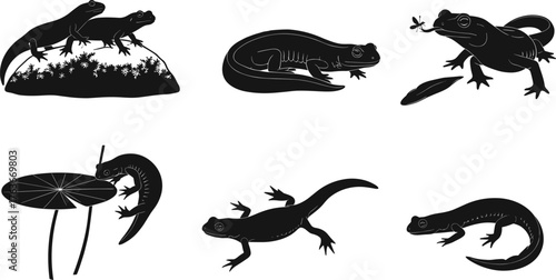 Salamander and Newt Silhouette Vector Set in Natural Poses and Environments, Amphibian Wildlife Art for Biology and Stock Use